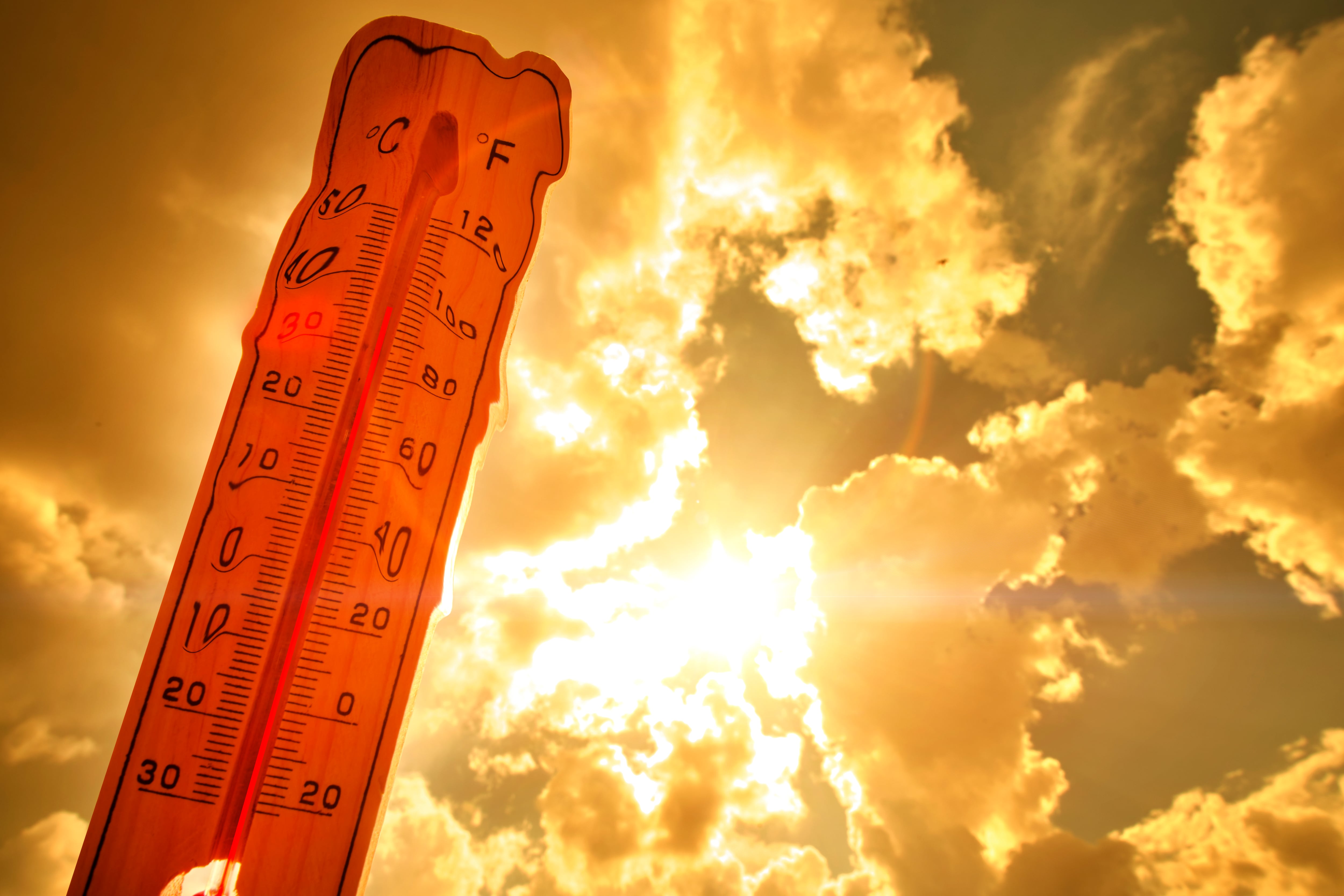 Ola de calor
