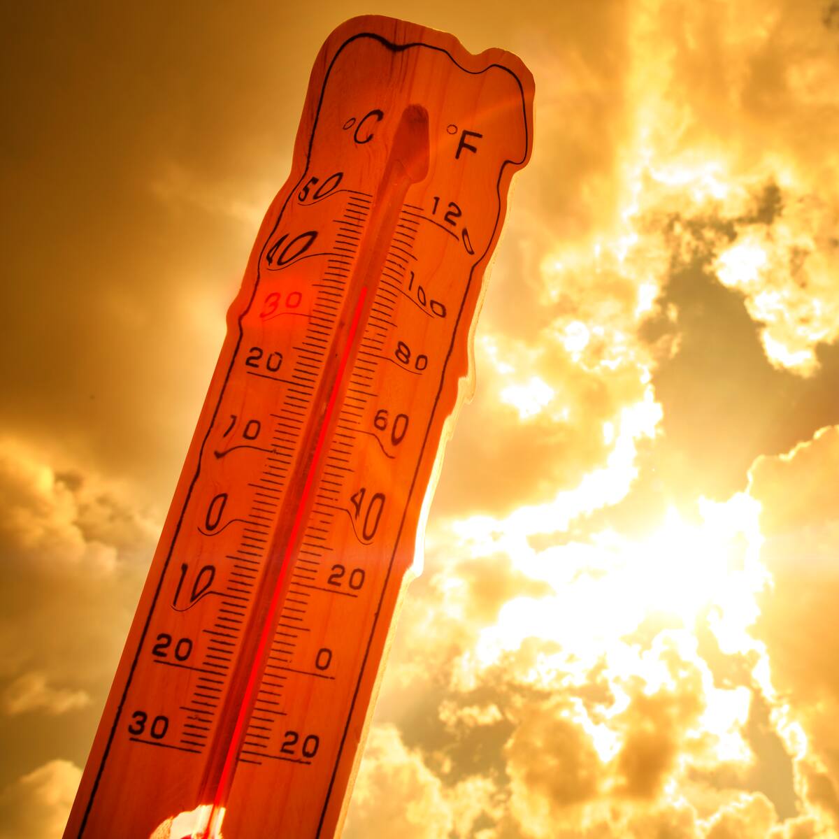 Hasta 38 grados: emiten alerta meteorológica para 4 regiones de Chile por temperaturas extremas
