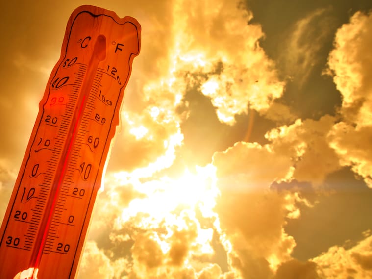 Ola de calor