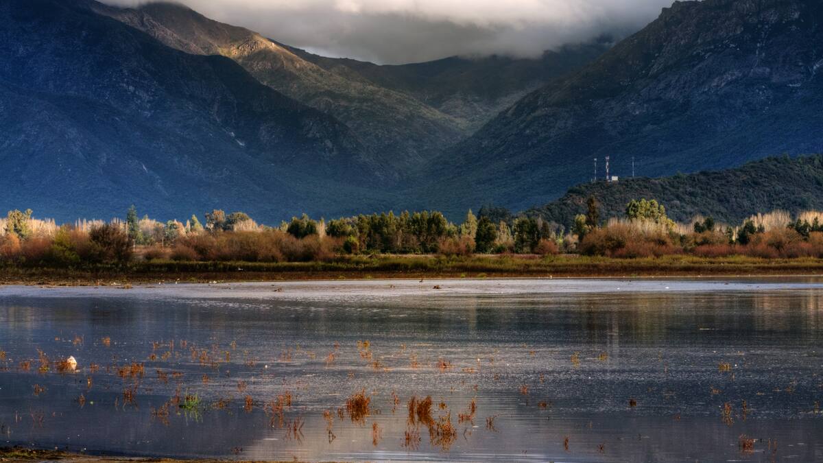 Laguna de Aculeo es declarada humedal urbano: se restringieron actividades en más de 1.100 hectáreas