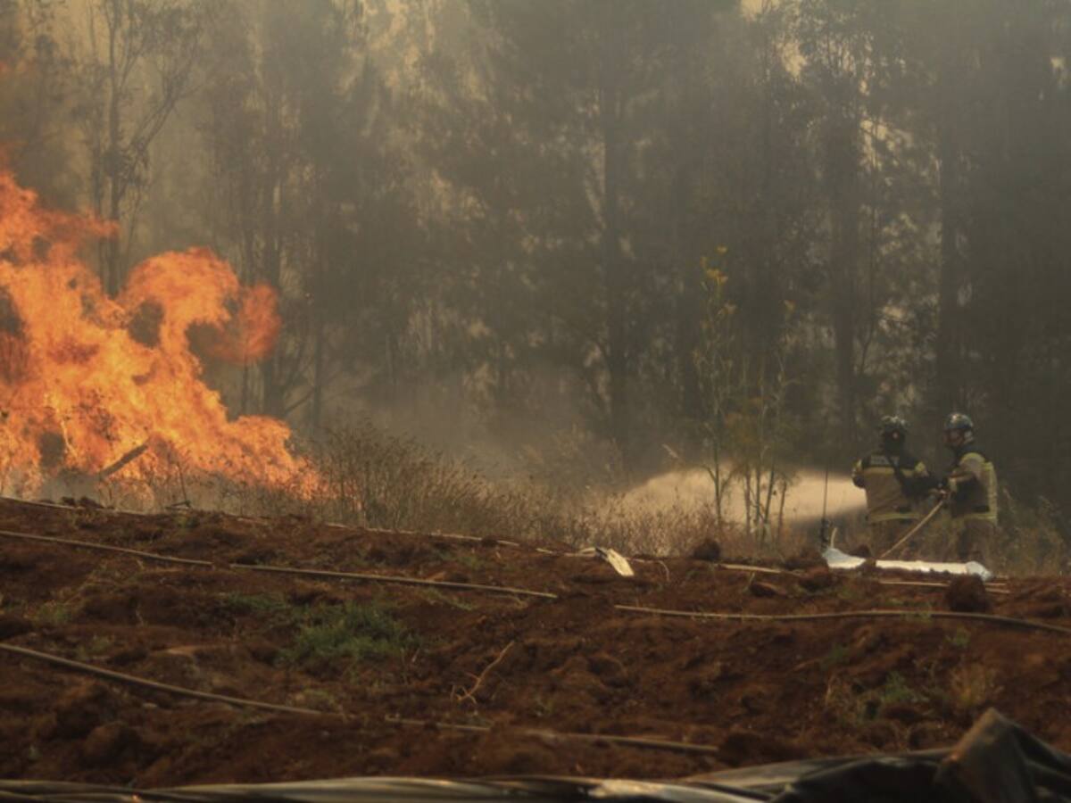 Climatólogo Raúl Cordero por olas de calor e incendios forestales: «Las cosas no se anticipan buenas para febrero»