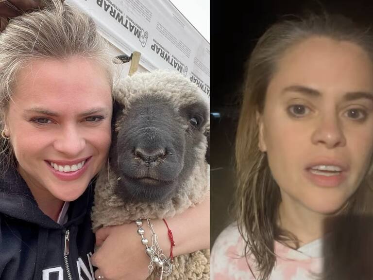 “Por favor, que no lo maten”: Eliana Albasetti denuncia robo de uno de los animales desde su santuario en Lampa