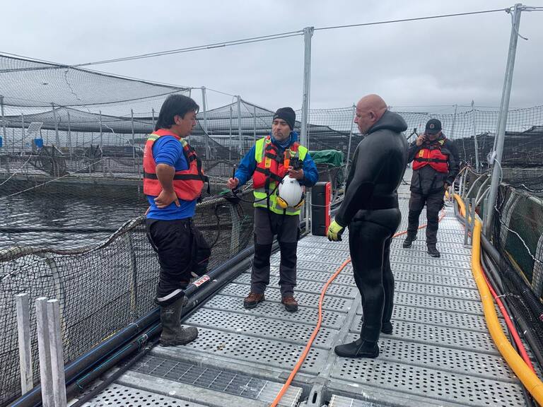 Auditor de buceo: cargos altamente cotizados que se obtienen al estudiar una carrera online