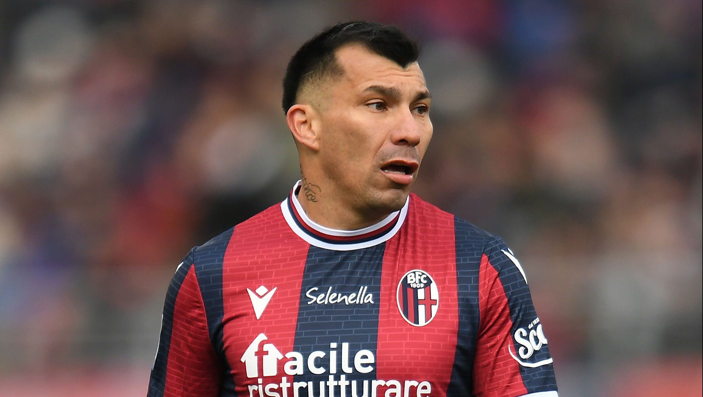 Fiorentina Bologna