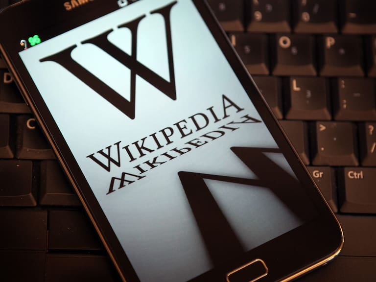 Wikipedia, por uso de Provoste: "No somos fuente citable"