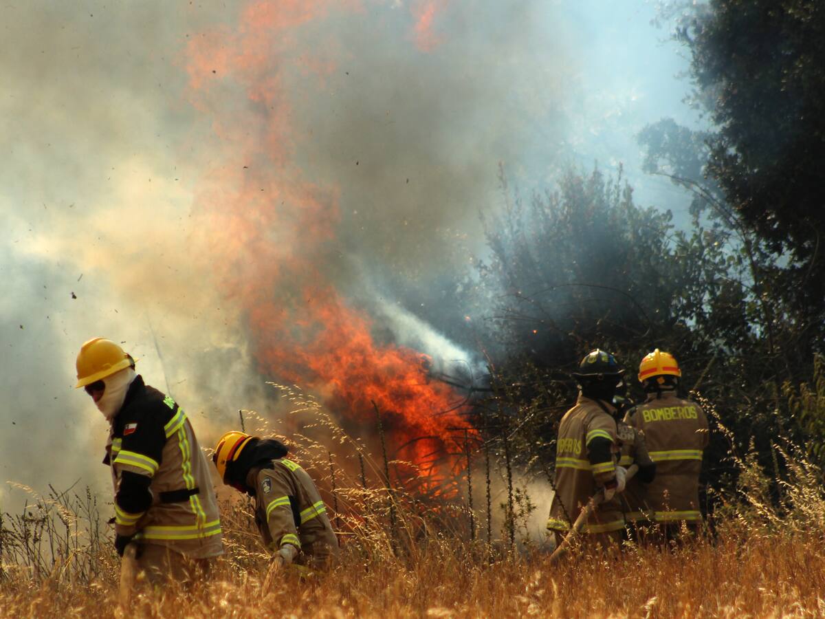 Incendios forestales en La Araucanía: esta es la comuna más afectada por las llamas