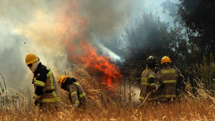 Alerta en la región de O’Higgins por cinco incendios forestales: hay alertas rojas vigentes y varias evacuaciones en proceso