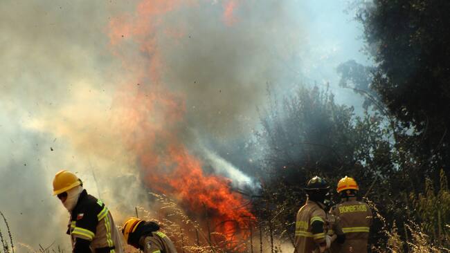 Región del Biobío: Senapred decreta Alerta Roja en Tirúa por incendio forestal