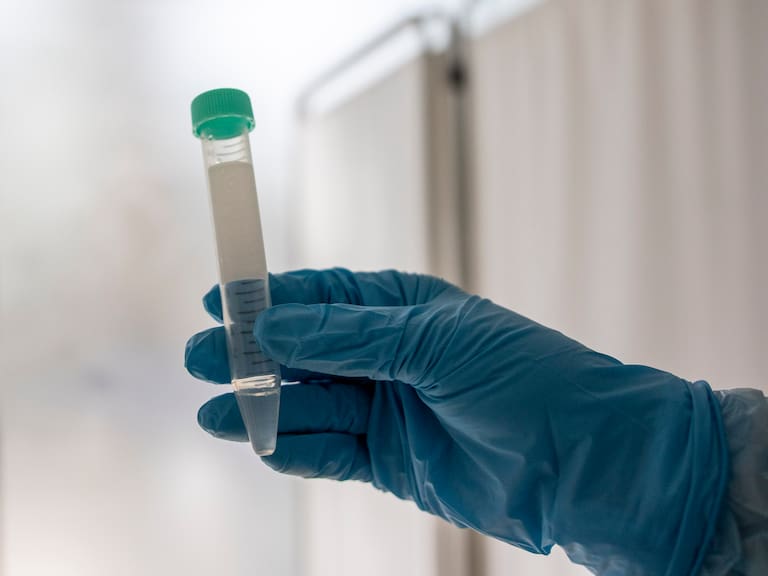 10 de Febrero 2022 / SANTIAGO
Aumenta la demanda de tomas de examen PCR.

FOTO: LUIS FELIPE ARAYA / AGENCIA UNO