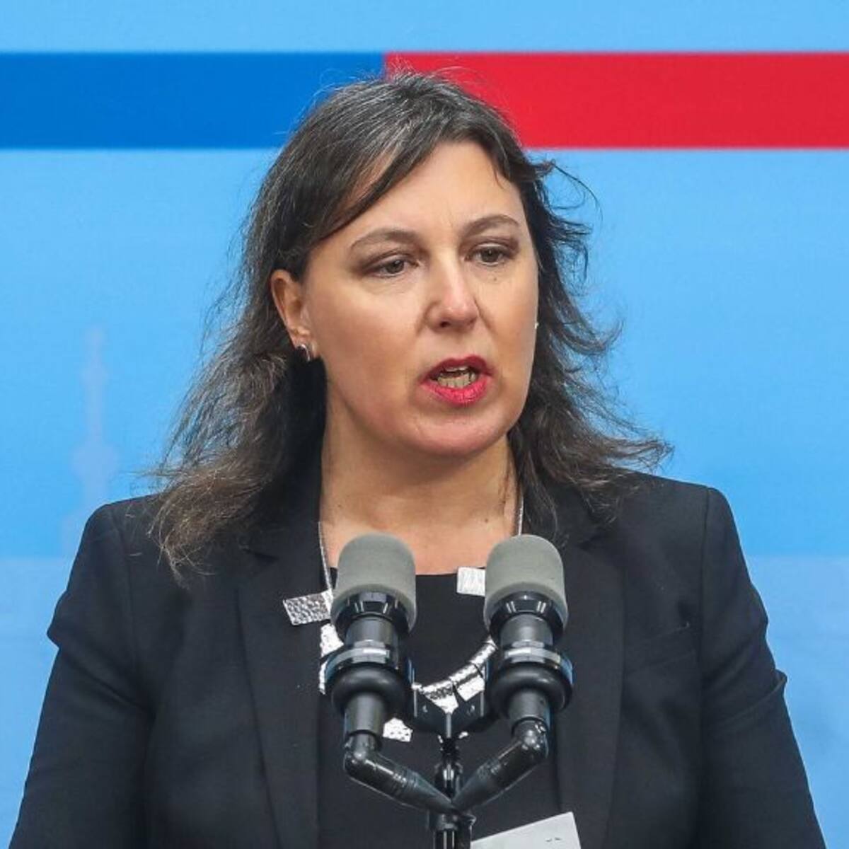 Directora de Chile Transparente por informe de Contraloría en Caso Convenios: «Las autoridades de turno tienen responsabilidad»