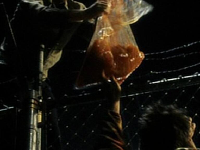 Artista vende jabones elaborados con grasa humana