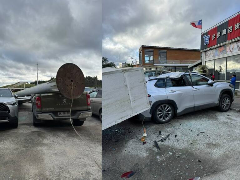 Sistema frontal en Los Lagos deja una mujer muerta por caída de árbol y más de 15 mil hogares sin luz