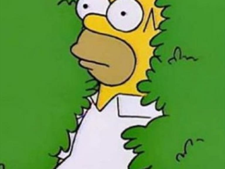 Homero utilizó su propio meme en el último capítulo de Los Simpson