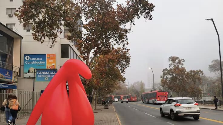 Aparece clítoris gigante en Providencia: esta es la razón de la intervención que sorprendió a los transeúntes