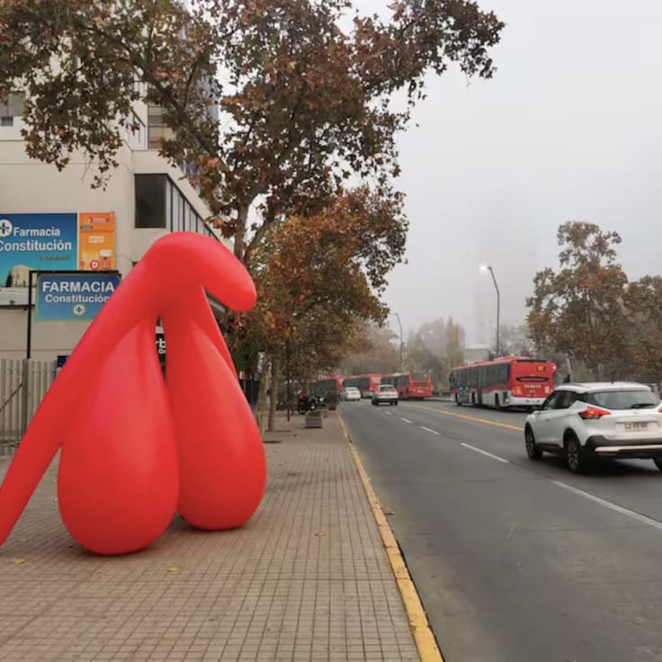 Aparece clítoris gigante en Providencia: esta es la razón de la intervención que sorprendió a los transeúntes