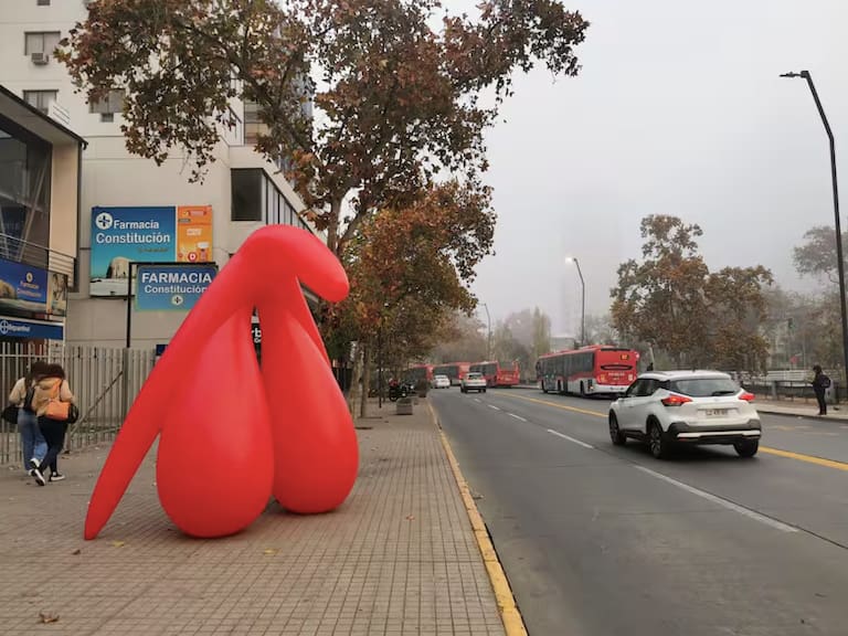 Aparece clítoris gigante en Providencia: esta es la razón de la intervención que sorprendió a los transeúntes