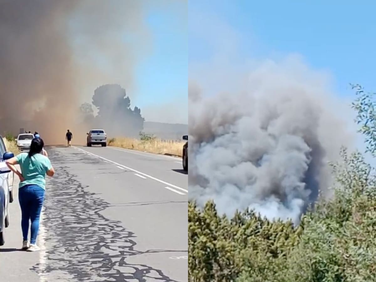 Alarma en La Araucanía: Videos captan minutos de miedo por violento incendio que mantiene cortada ruta Los Sauces–Angol