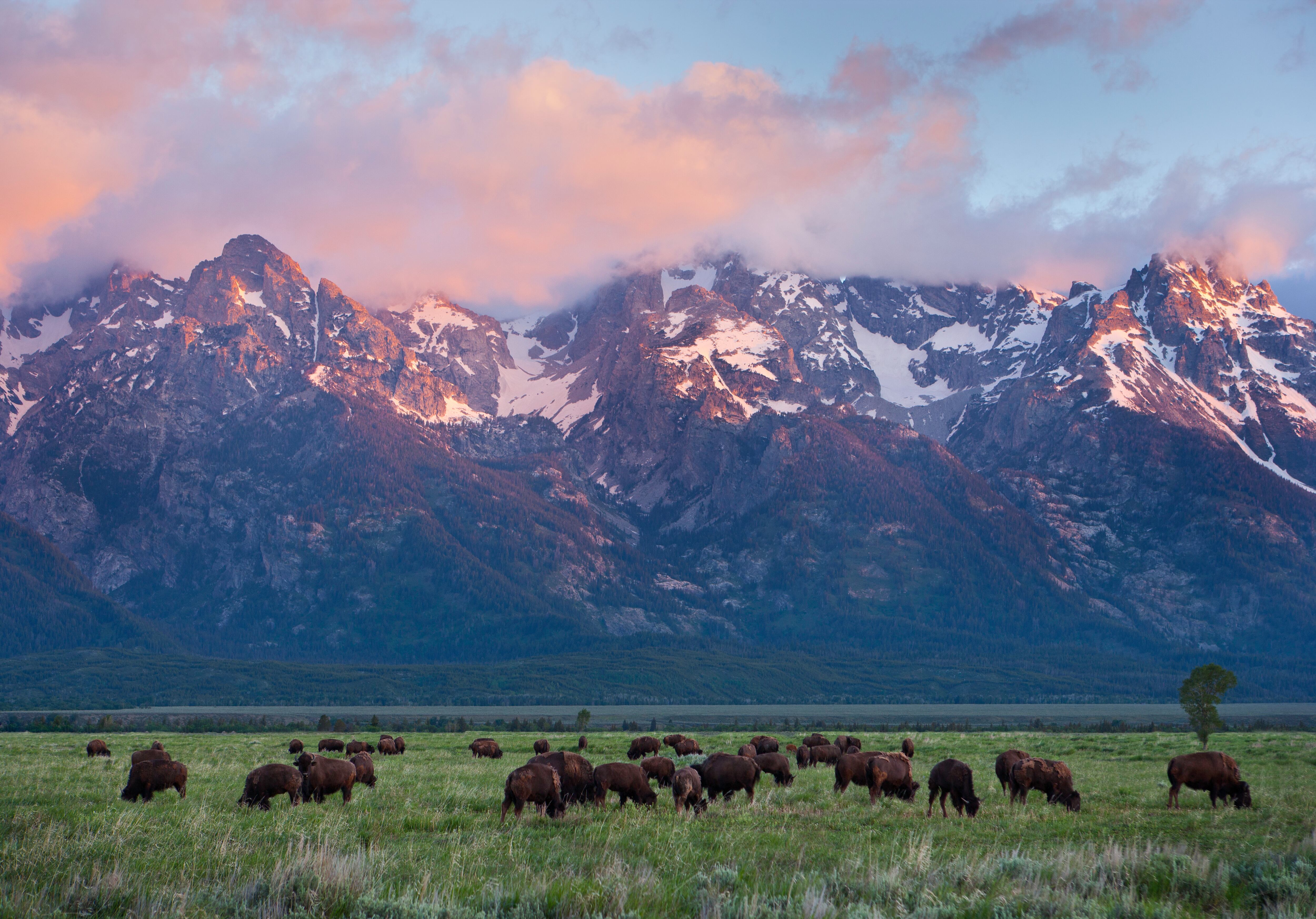 Parque Nacional de Yellowstone