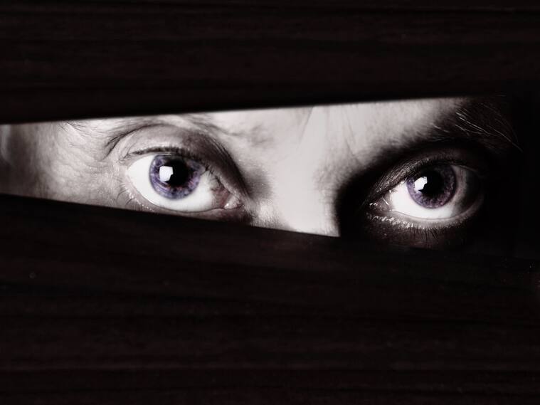 Black and white close up of sinister-looking male eyes looking suspiciously through the slats of a closed venetian blind. Could be a criminal or a stalker or a watchful home owner. Ample copy space on the dark blind.