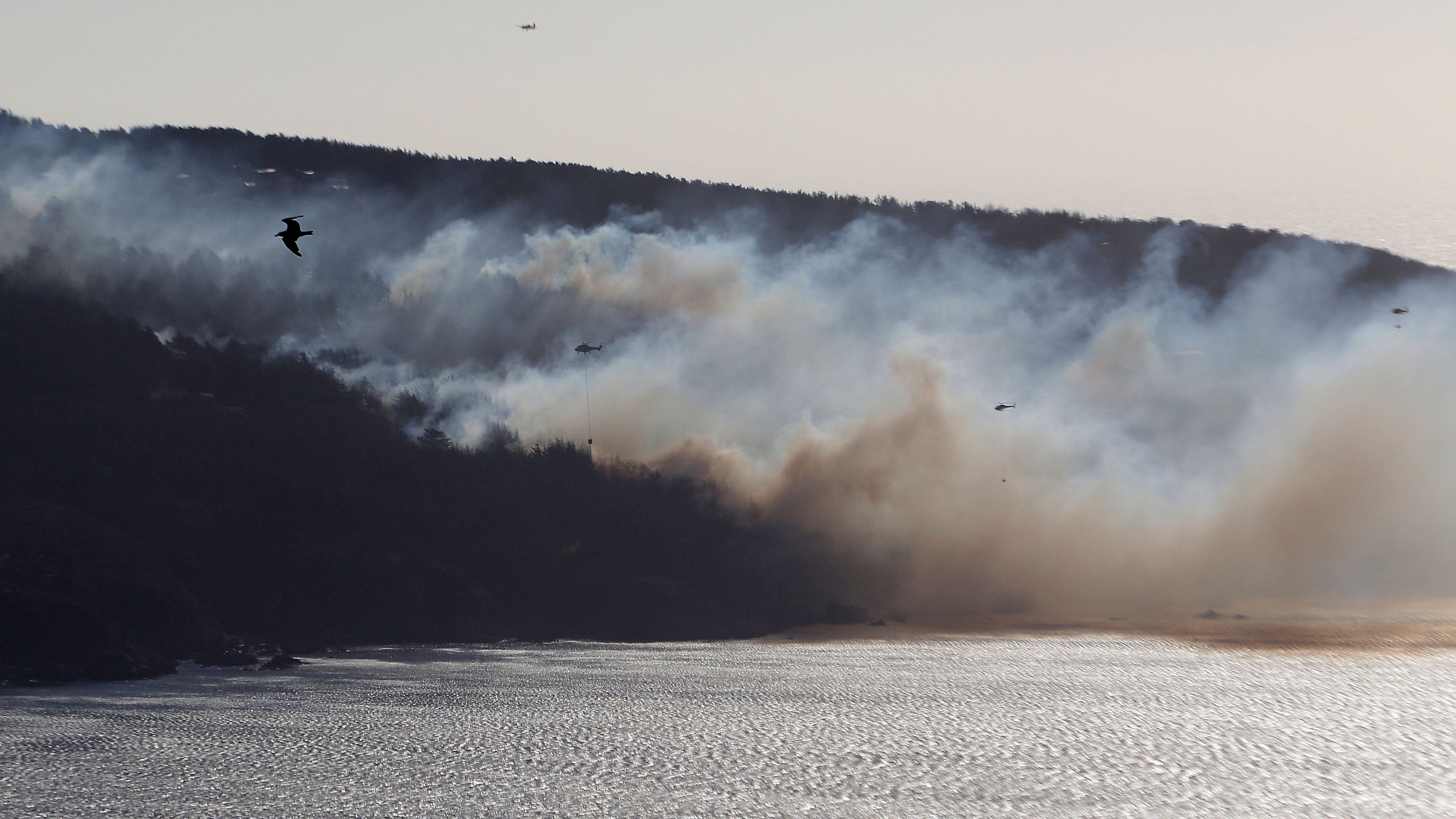 23 DE ENERO DE 2022/VALPARAISOVista desde el Mirador de Laguna Verde de un incendio forestal que afecta al sector de Camino El Faro.
FOTO: LEONARDO RUBILAR CHANDIA/AGENCIAUNO