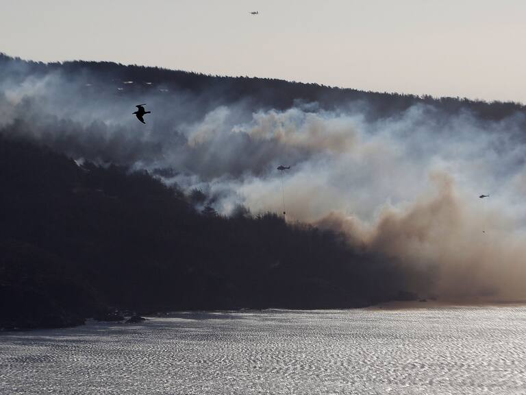 23 DE ENERO DE 2022/VALPARAISOVista desde el Mirador de Laguna Verde de un incendio forestal que afecta al sector de Camino El Faro.
FOTO: LEONARDO RUBILAR CHANDIA/AGENCIAUNO