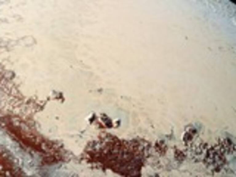 Plutón posee glaciares, agua y compuestos orgánicos