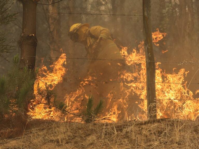 23 personas fallecidas dejan los incendios forestales