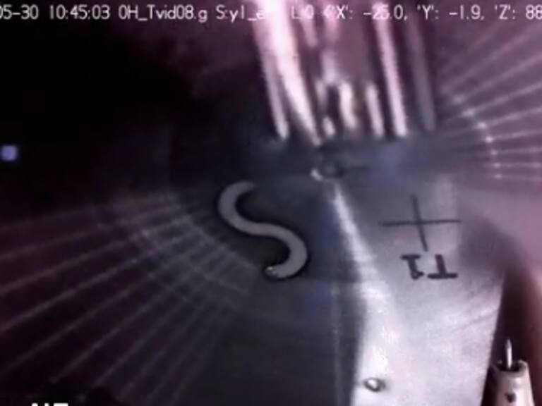 Estación Espacial Internacional (ISS)