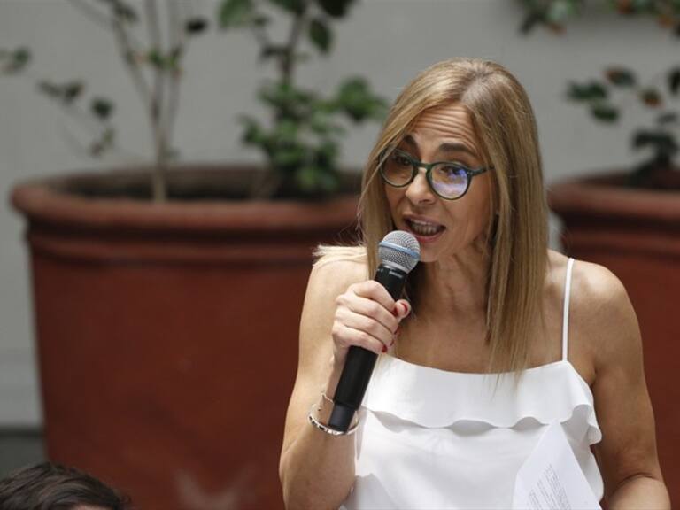 Interpelación a ministra Plá fue aprobada por la Cámara de Diputados