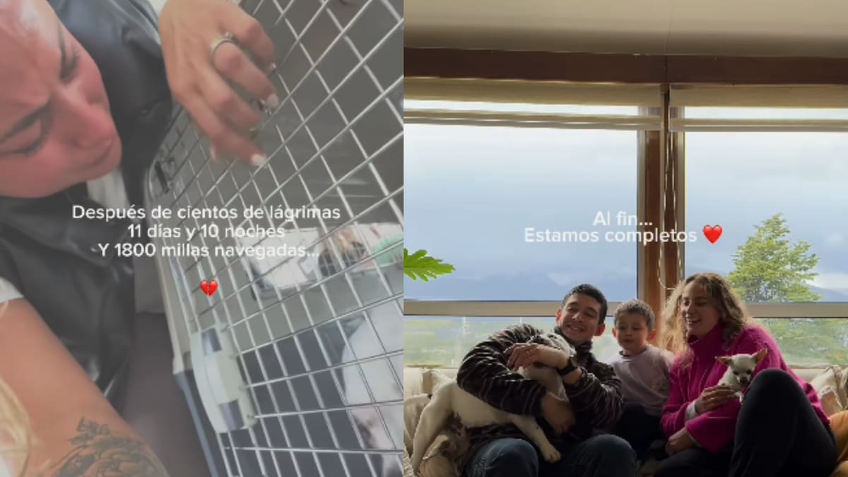 Llegó a Puerto Williams: así fue el esperado reencuentro entre influencer y su perro tras polémica con aerolínea