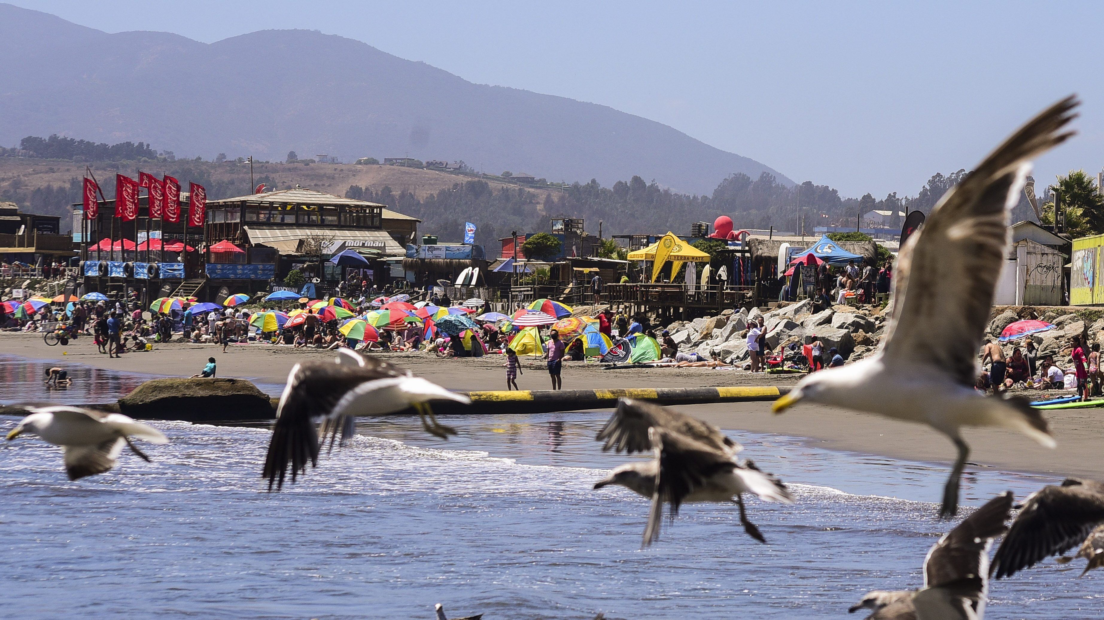 20 DE FEBRERO DE 2021 / CONCONGaviotas vuelan en la Playa La Boca, durante el fin de semana en que la comuna se encuentra en Fase 3 del plan Paso a Paso por el Covid-19
FOTO: MIGUEL MOYA / AGENCIAUNO