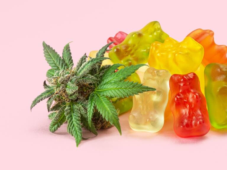 Dos jóvenes fueron hospitalizados tras intoxicación por gomitas de marihuana en Argentina