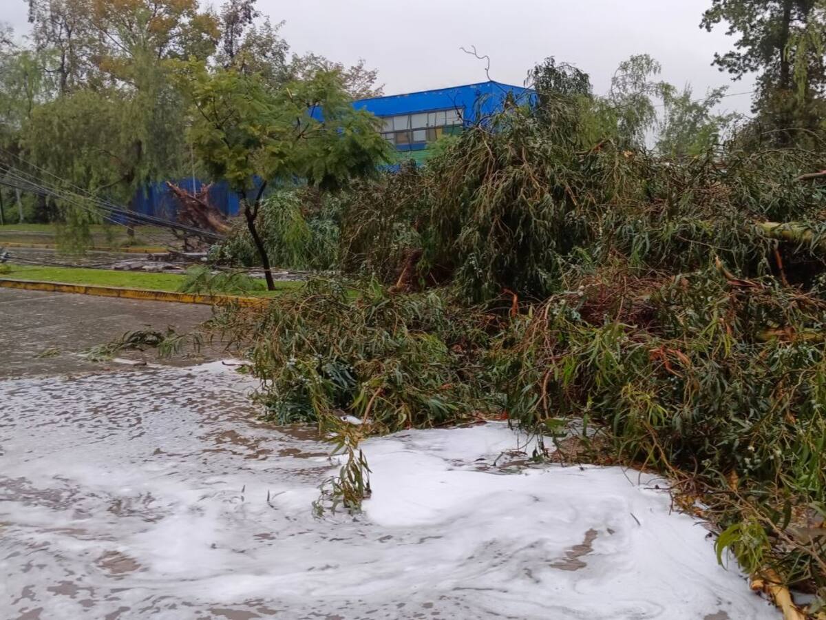 Fuertes vientos en el sur de Chile EN VIVO: cortes de luz y damnificados por región