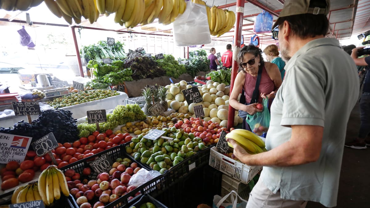Proyecto avanza en el Senado: las nuevas exigencias que enfrentarán las ferias libres