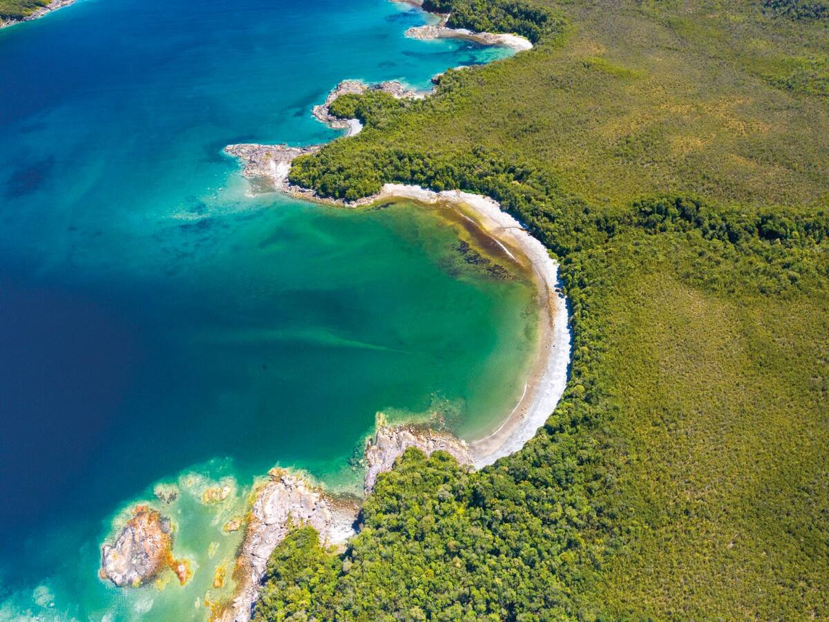 Desde la Patagonia al mundo: científicos chilenos llevan a Canadá estudios clave sobre conservación oceánica