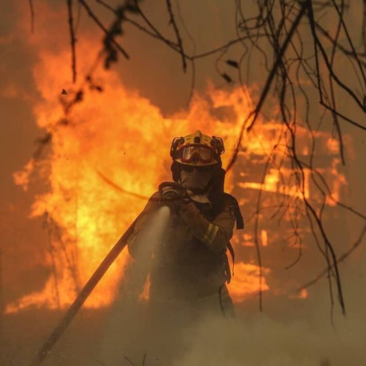 Ataque incendiario en La Unión: desconocidos quemaron galpones con 1.500 bolos de pasto