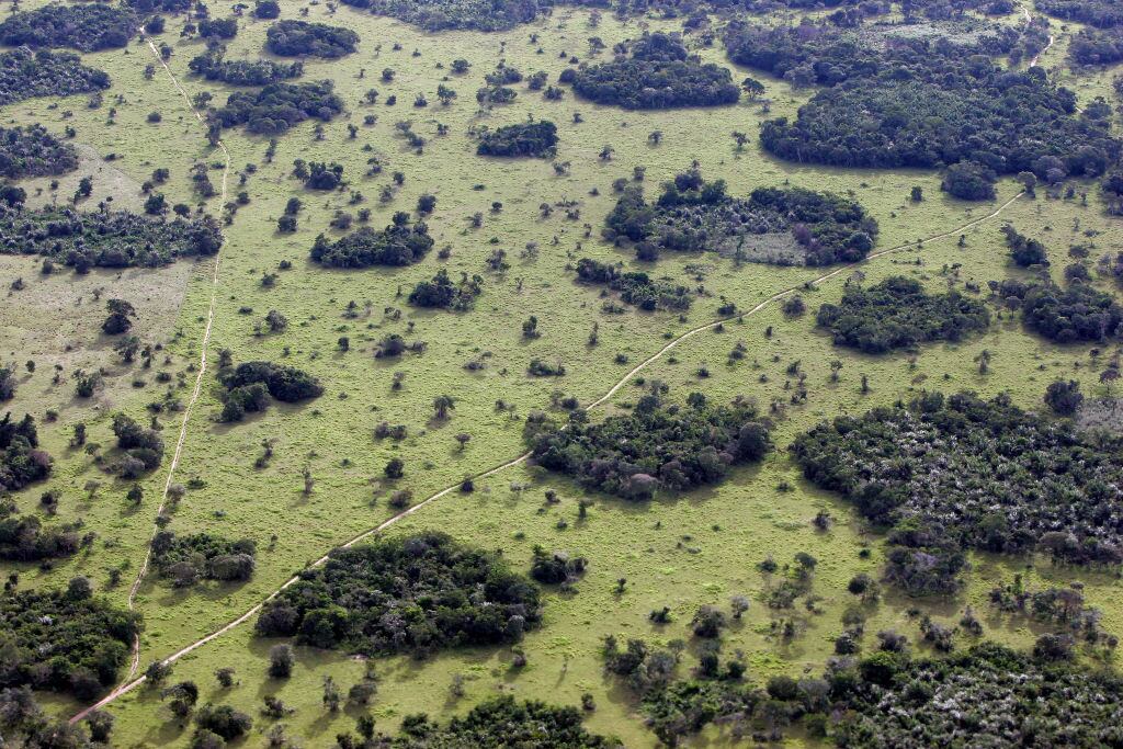 Vista aérea de la grave deforestación que sufre la Amazonía en Brasil