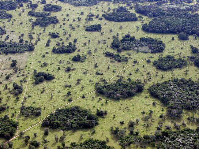 Vista aérea de la grave deforestación que sufre la Amazonía en Brasil
