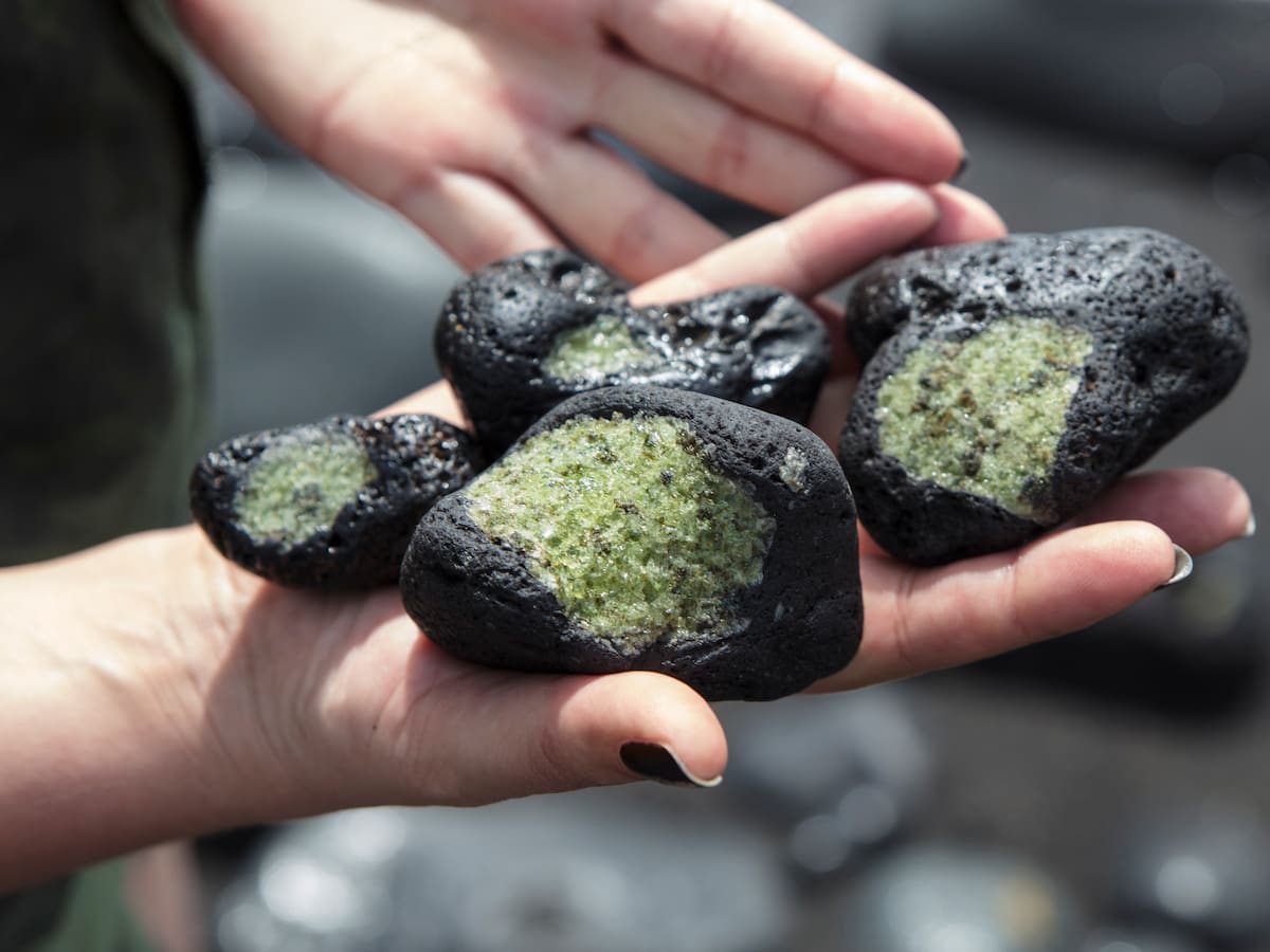 Del espacio al mercado por miles de dólares: esto ganan los cazadores de meteoritos y así es su método para encontrarlos
