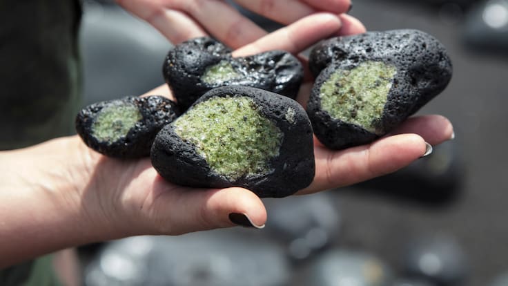 Del espacio al mercado por miles de dólares: esto ganan los cazadores de meteoritos y así es su método para encontrarlos