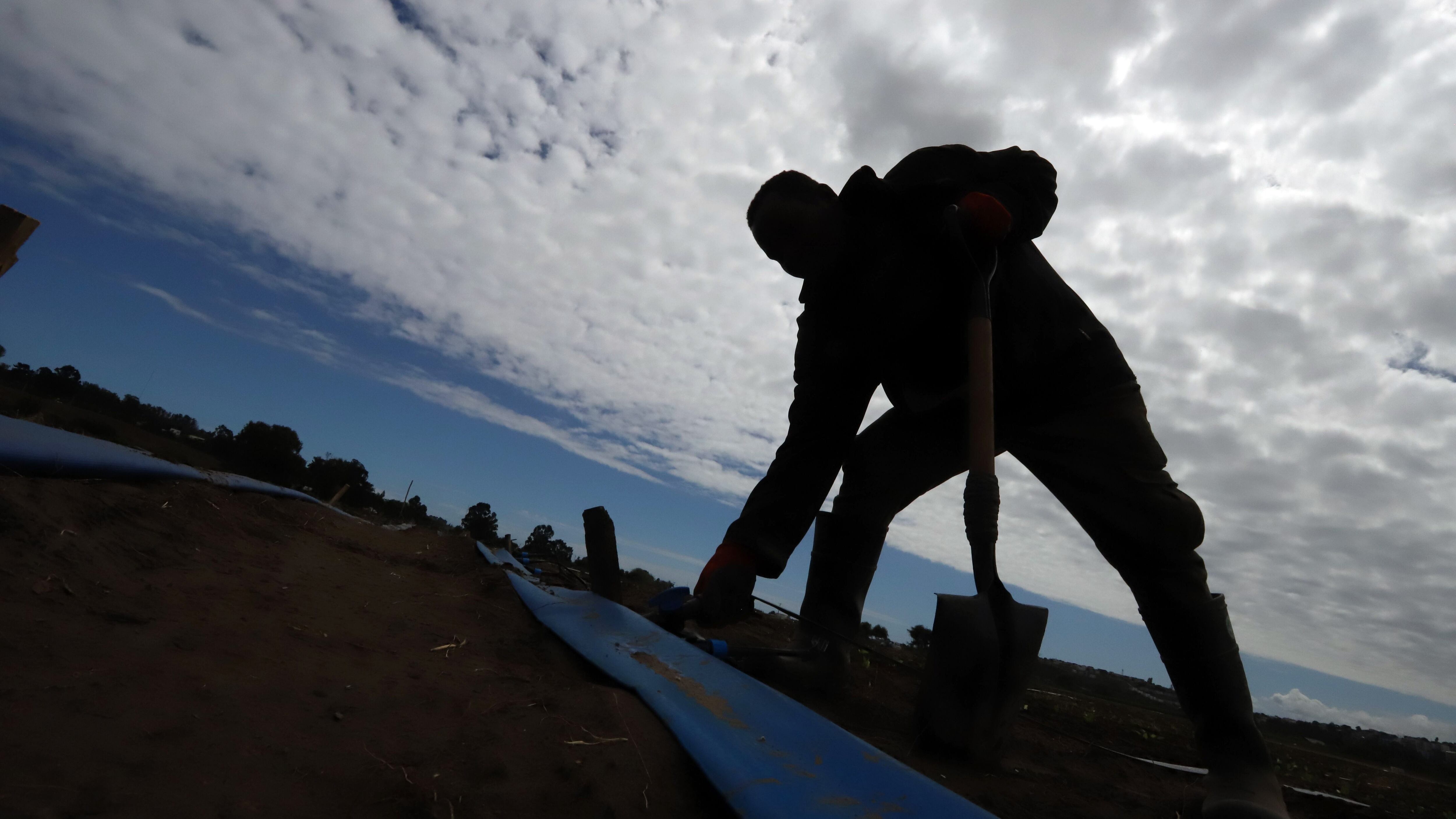Gobierno evalúa estado de emergencia agrícola entre Atacama y el Maule