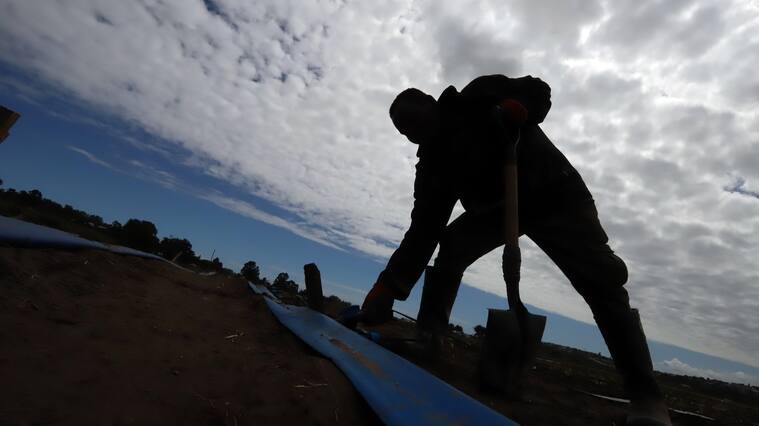 Gobierno evalúa estado de emergencia agrícola entre Atacama y el Maule