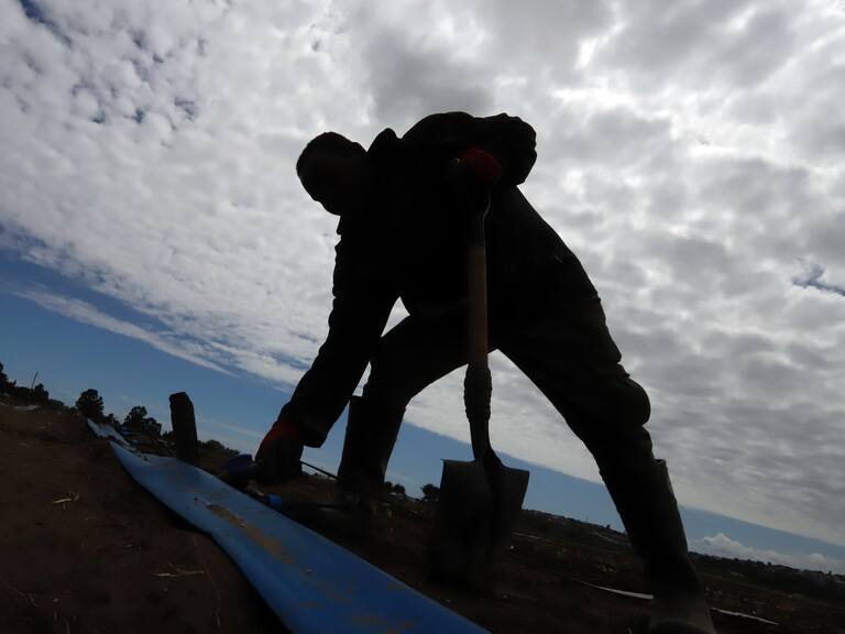 Gobierno evalúa estado de emergencia agrícola entre Atacama y el Maule