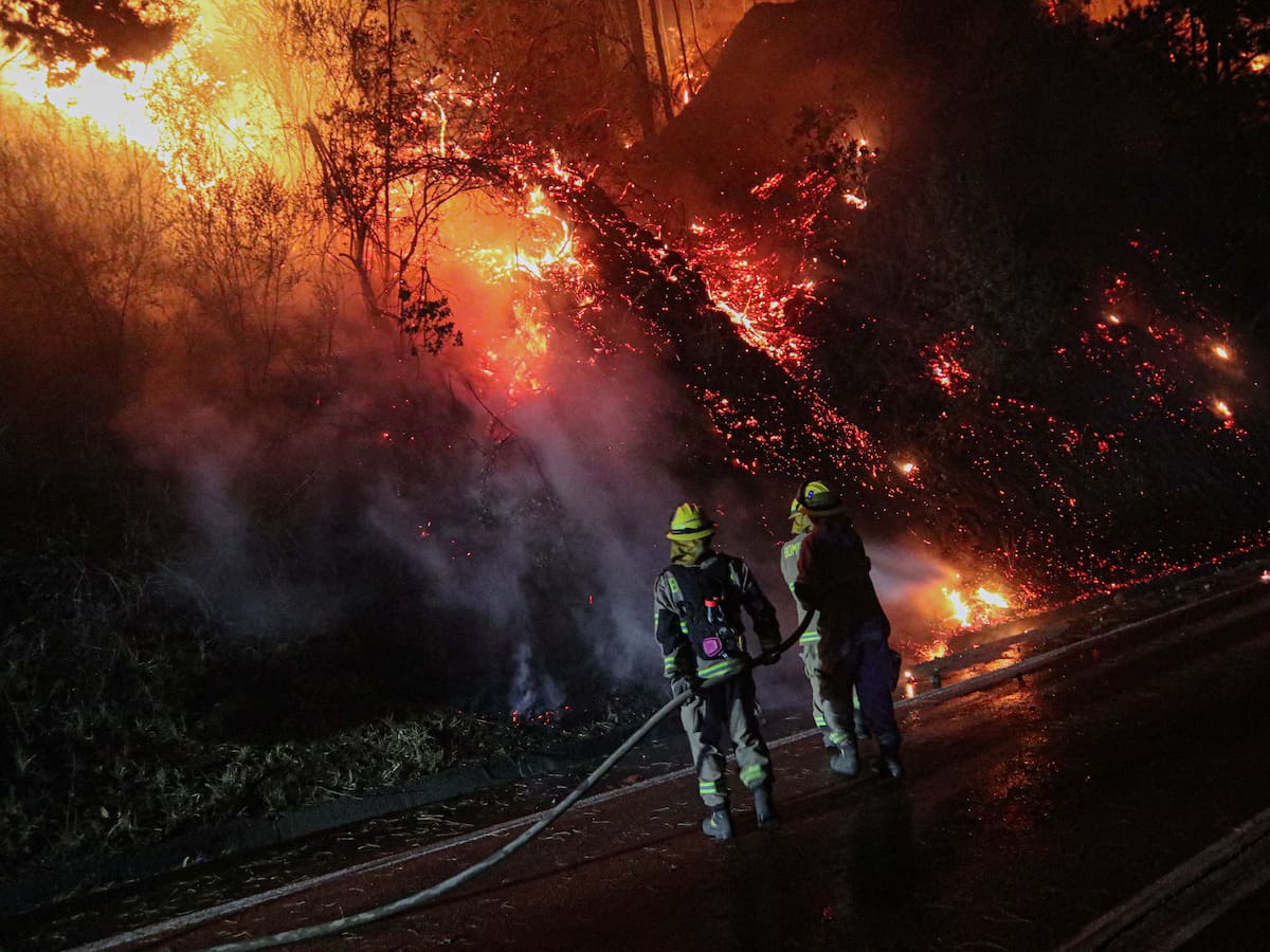 Continúa el combate en Traiguén por incendios forestales: “Es el siniestro más difícil que hemos tenido en la temporada”