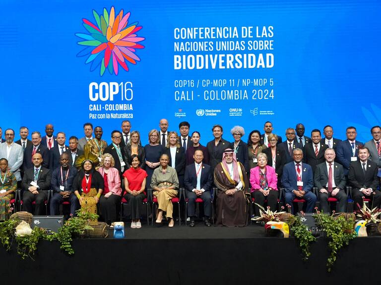 Daniela Manuschevich