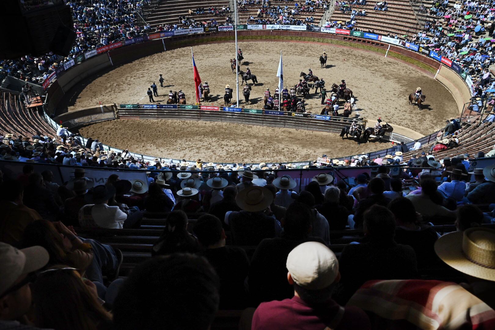 Rodeo