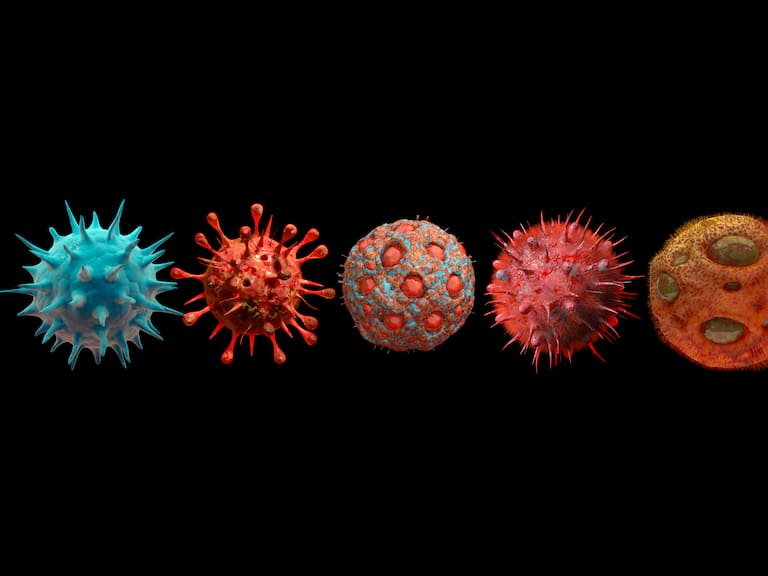 Referencial / Getty Images