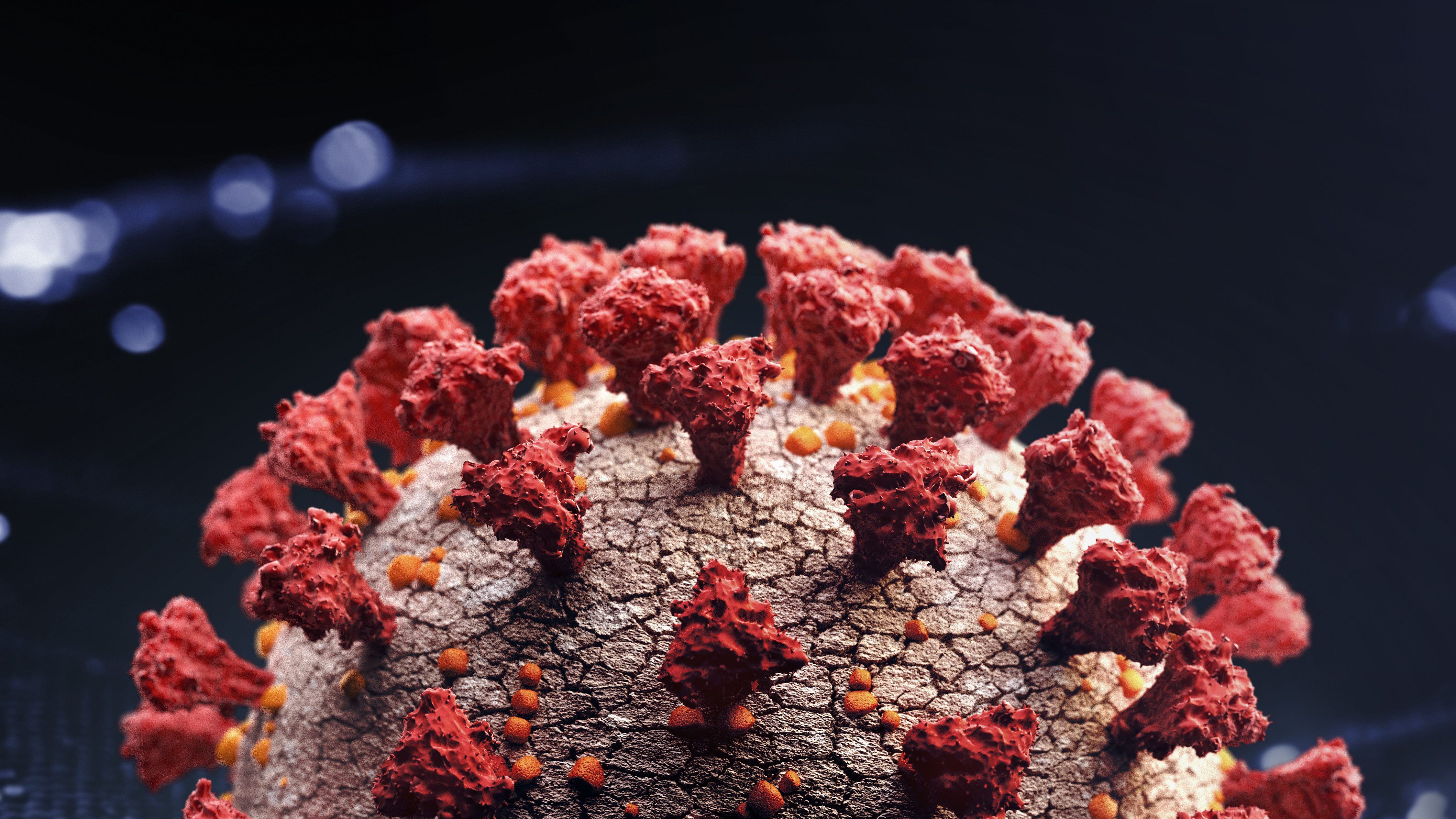 Coronavirus