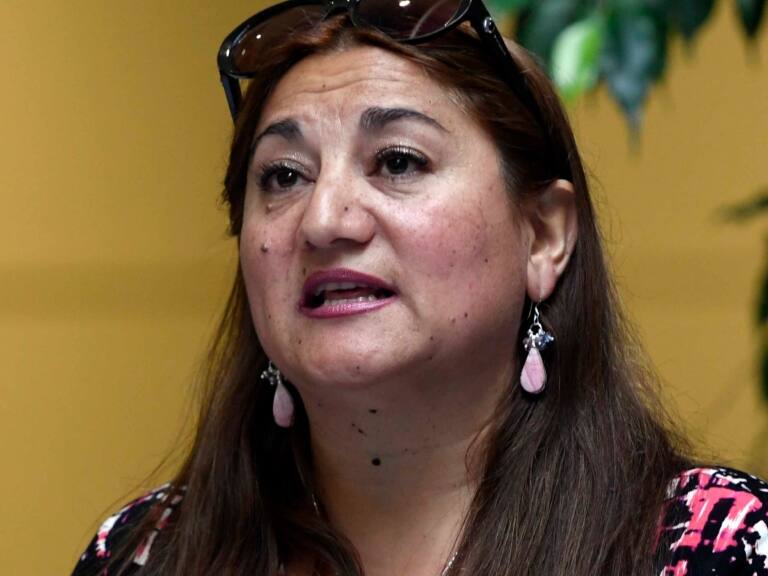 «Mi impresentable error»: diputada Viviana Delgado responde críticas por no estar presente en votación de reforma tributaria