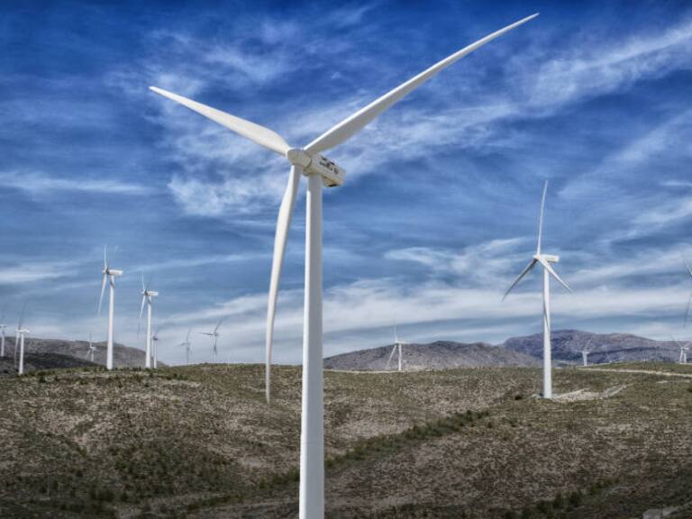 Cae el Parque Eólico en Ancud: Tribunal valida decisión de la SMA y organizaciones locales celebran